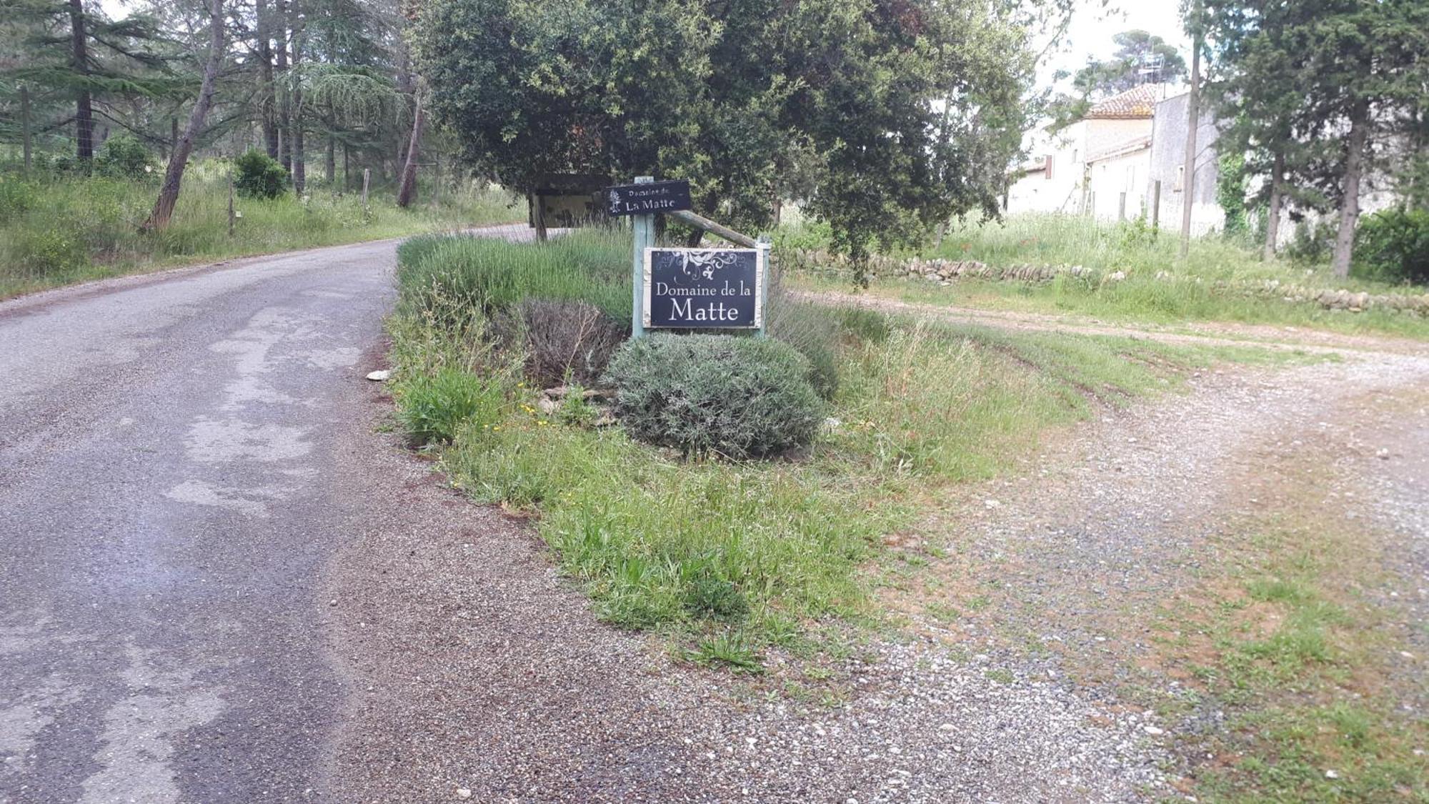 Domaine De La Matte Bed & Breakfast Conques-sur-Orbiel Exterior foto